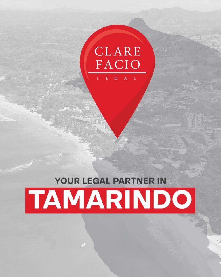 590898459 18082741886037852 3723272414610536693 n 768x960