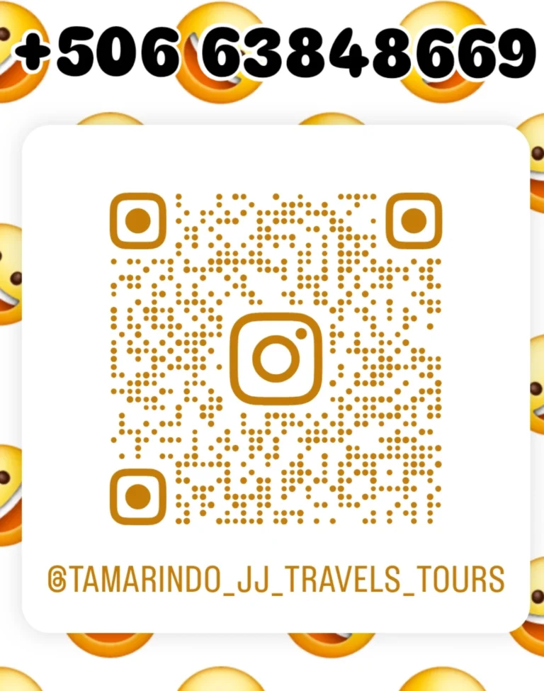 JJ Transport 768x975