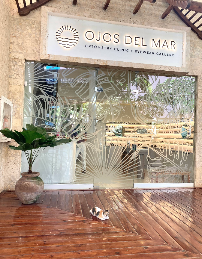 Screenshot from 2025 12 11 23 22 02