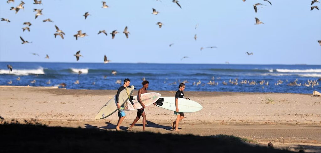 e3742a 1065272d4d7d4a1983f154f537f3fbdcmv2 1024x490