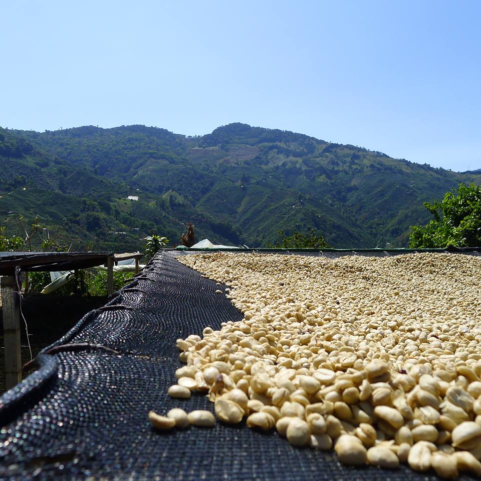 481567818 1198237802194817 1185845729356524917 n