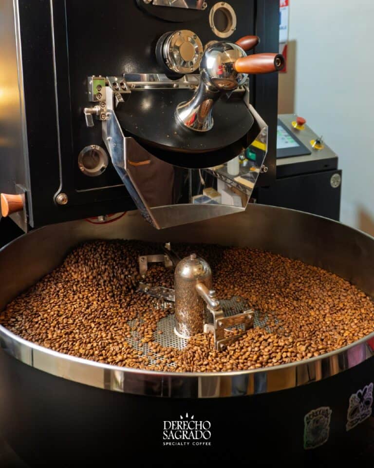 546832167 800941195789612 517739493938626988 n 768x960