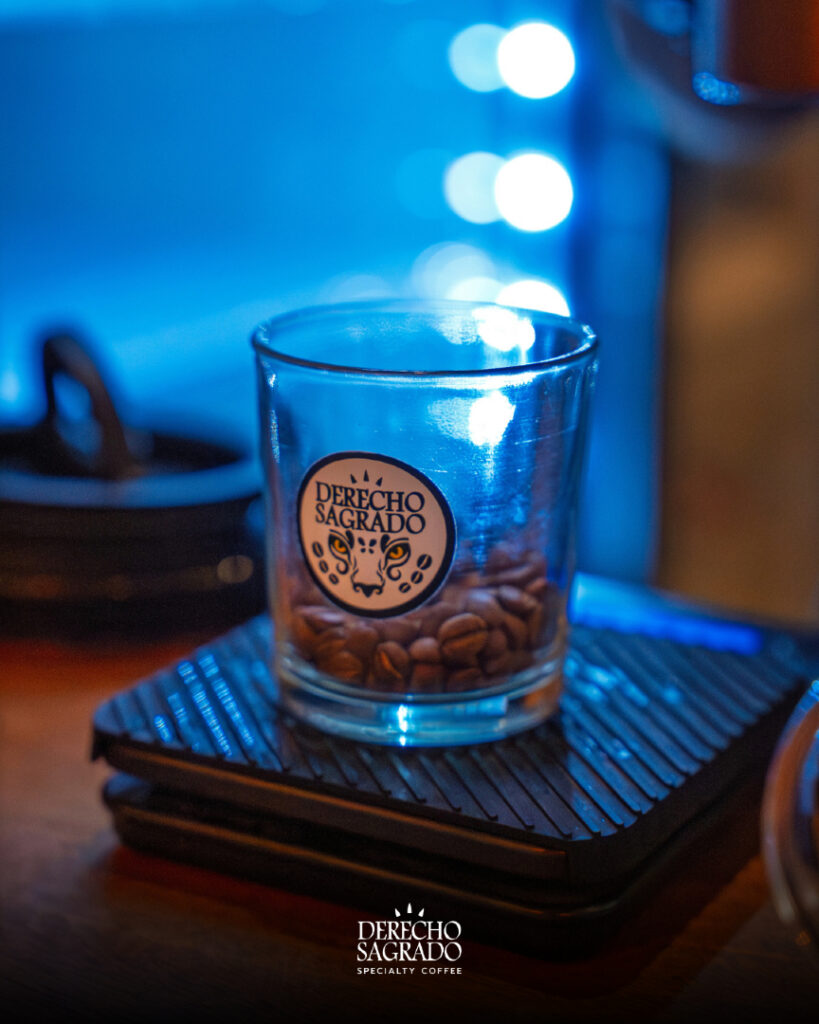 607974256 887881463762251 2476038113095377693 n 819x1024