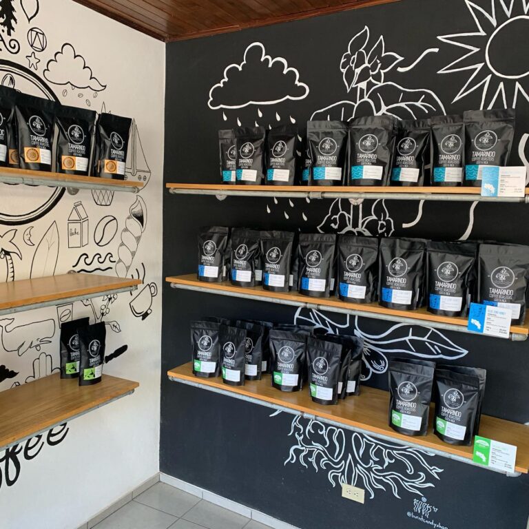 84176403 2890643931042764 4143349203784957952 n 768x768