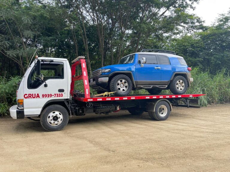 480518891 1162464672547676 8163108686305125606 n 768x576