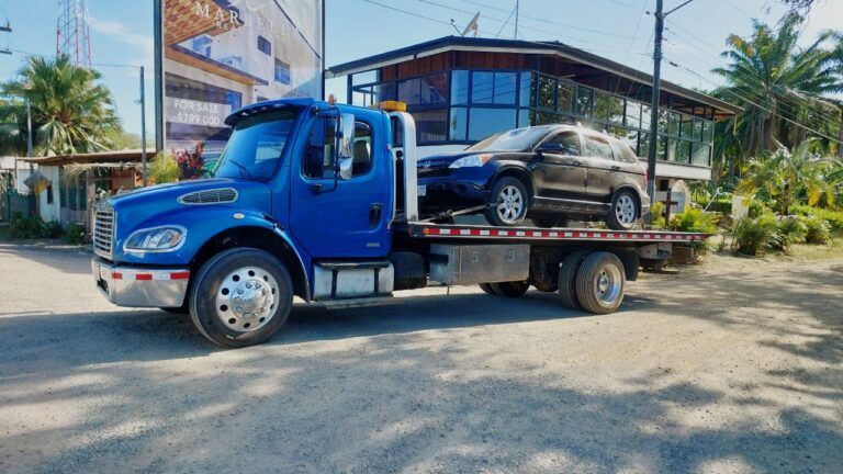 486405351 1187318066729003 7536534519694699703 n 768x432