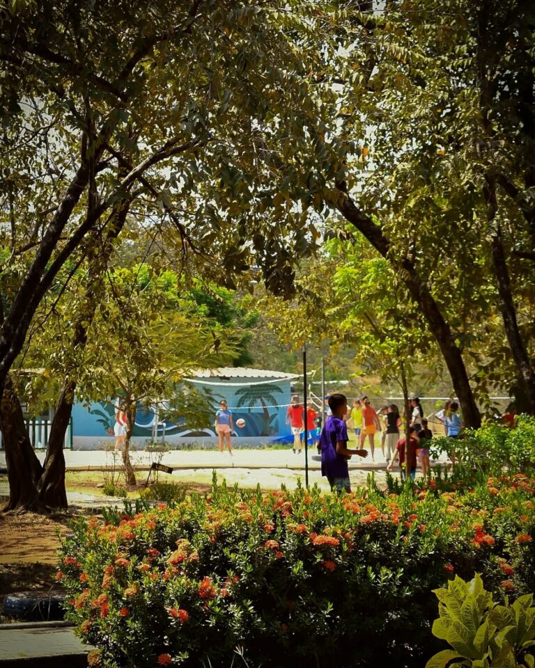 488532728 18501048730032118 6738489491946528100 n 768x960