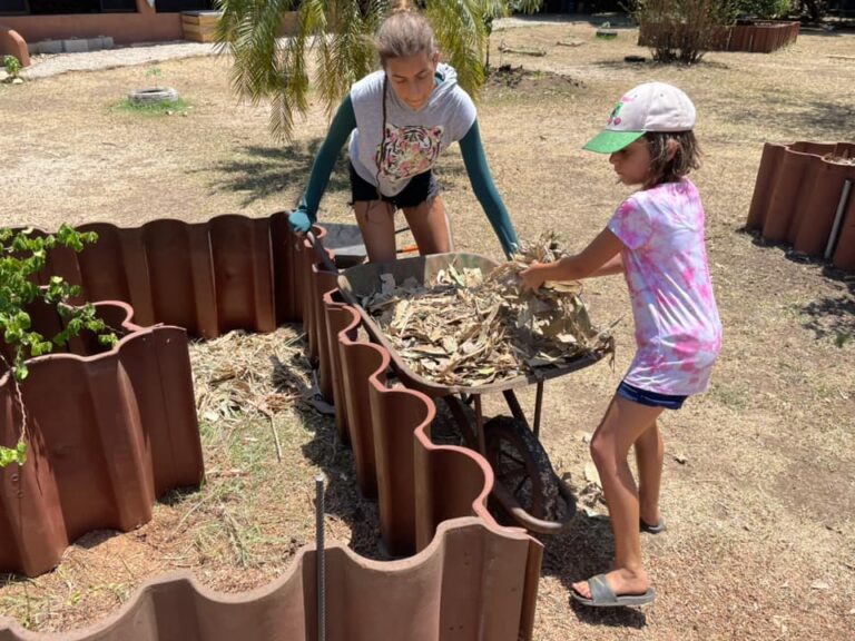 496731412 1249703717155503 3766758916827427615 n 768x576