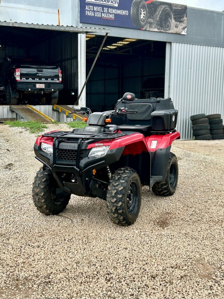 559356367 1263236662271513 3818619186349188099 n 768x1024