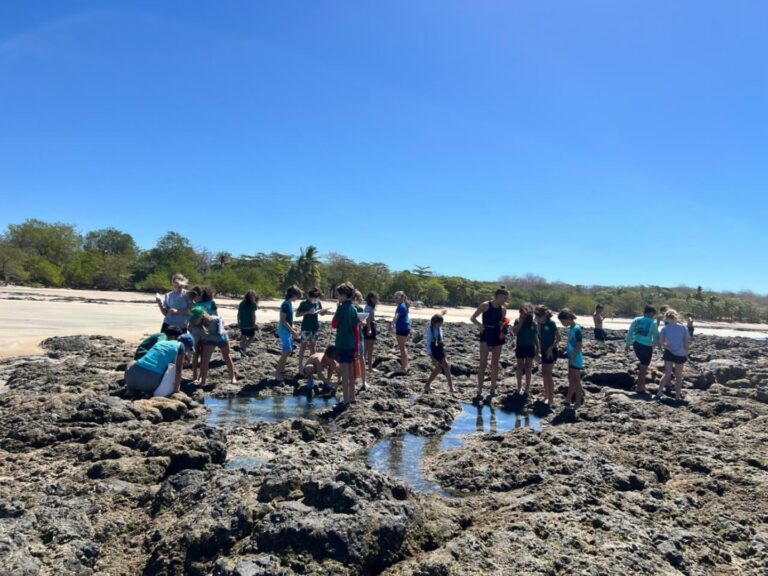 628481368 1481840583411974 429995887183002827 n 768x576