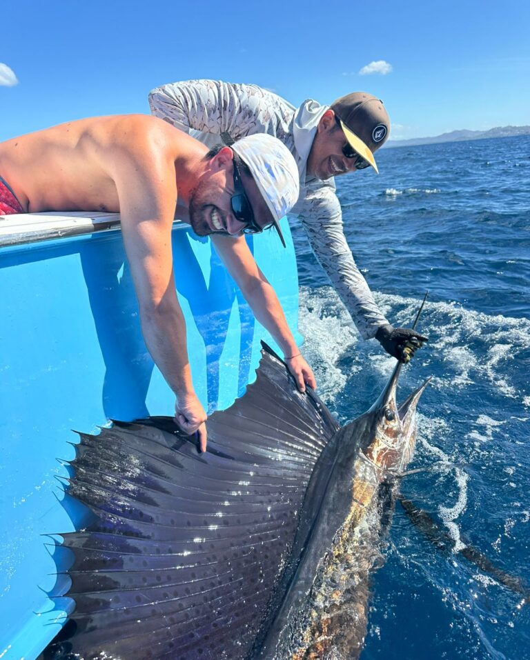 2ea798e4 5bd8 4253 8b61 45c49876e9a6 768x957