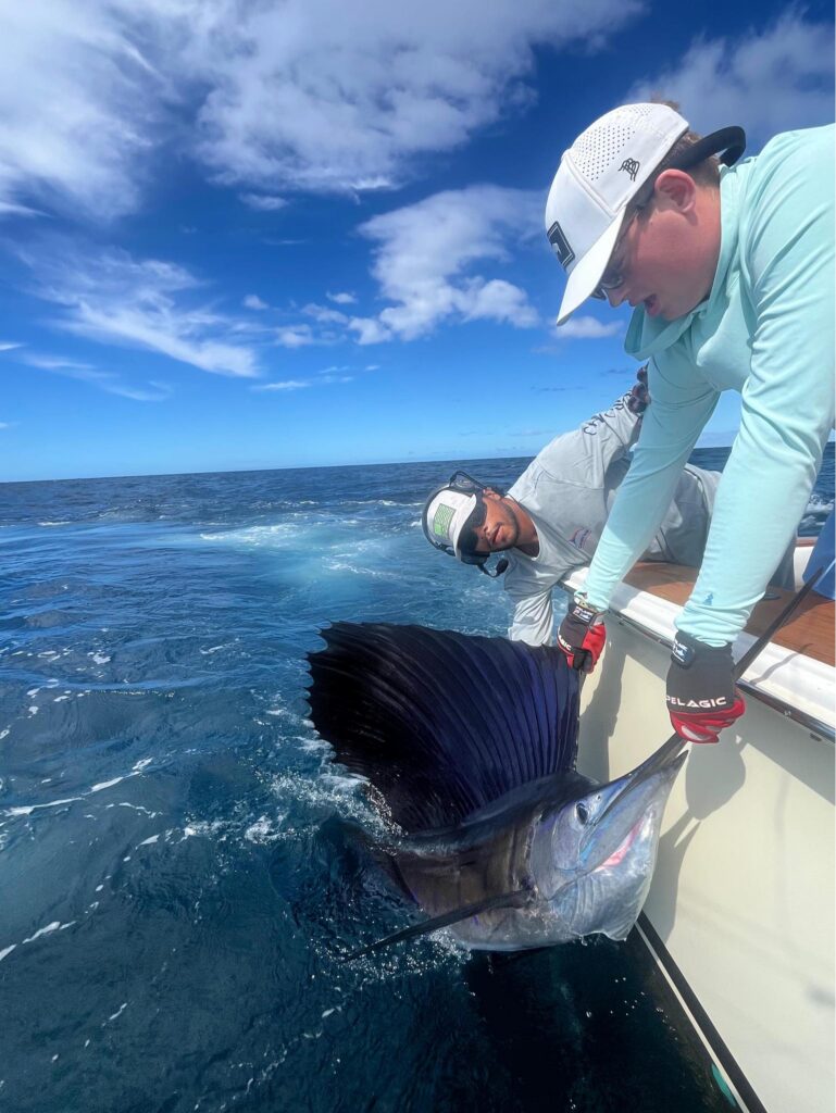 Chino Salsa Catch of the Day 769x1024