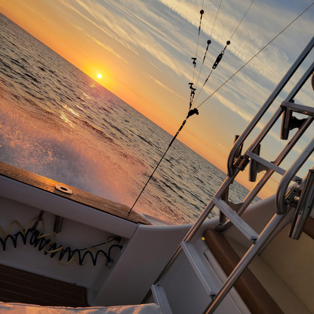 golden sunset 1024x1024