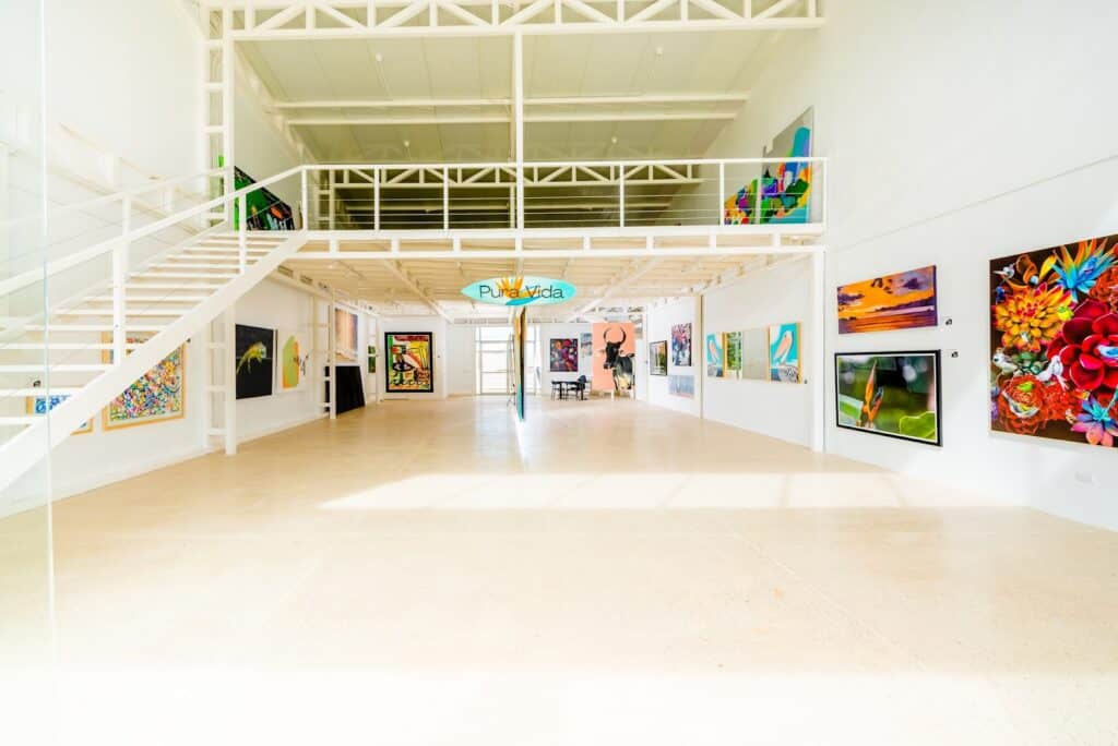 01 sol gallery 1024x684