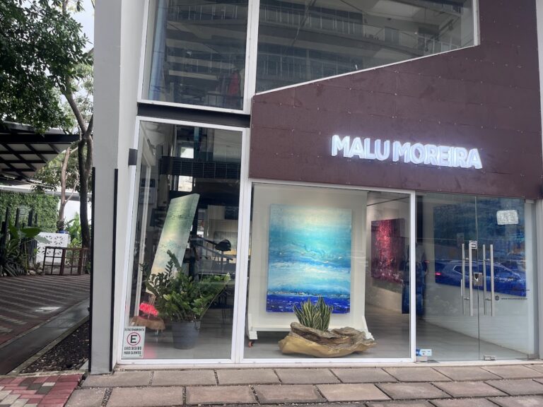04 art gallery malu moreira 768x576