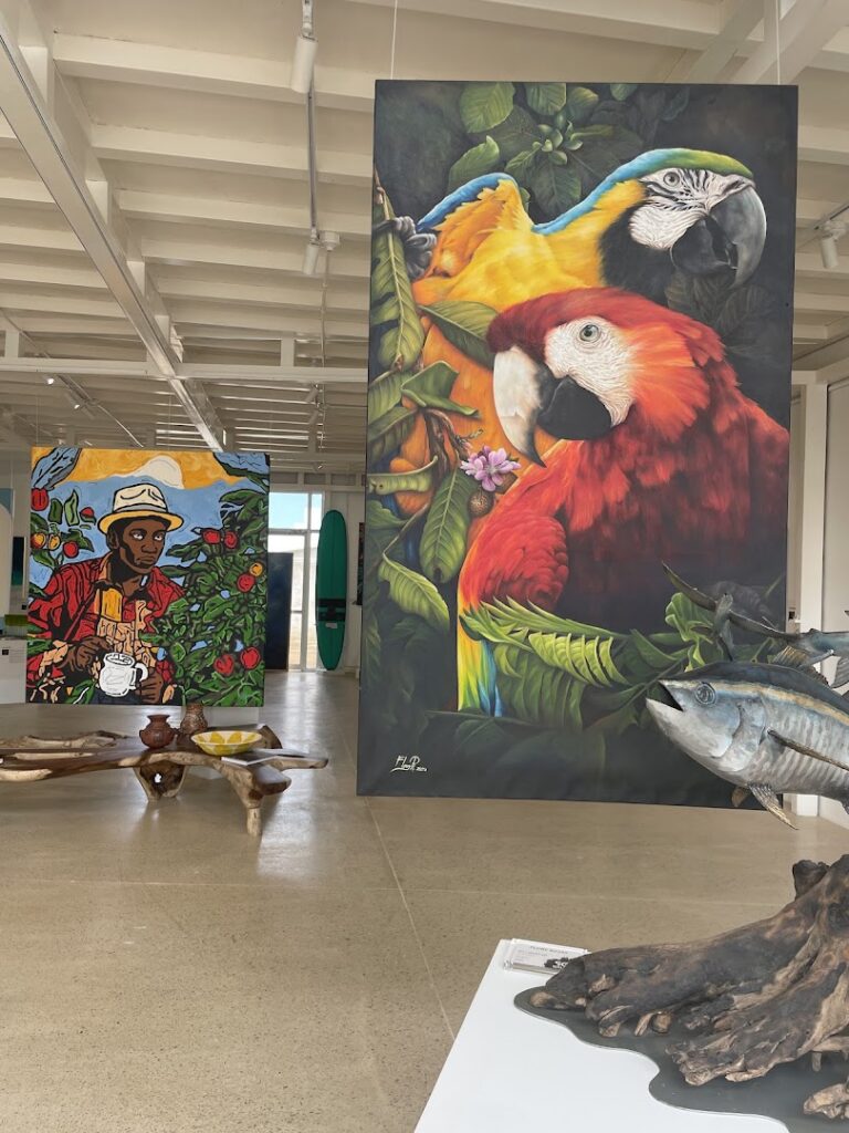 06 sol gallery 768x1024