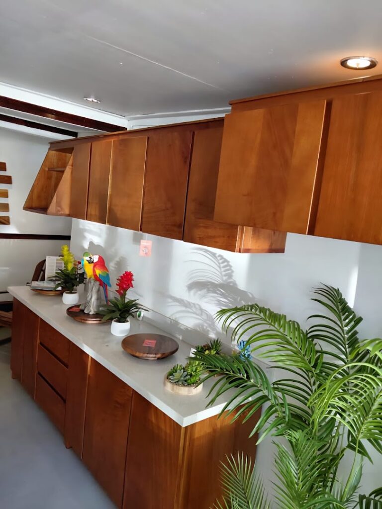 08 sarchi concepts 768x1024