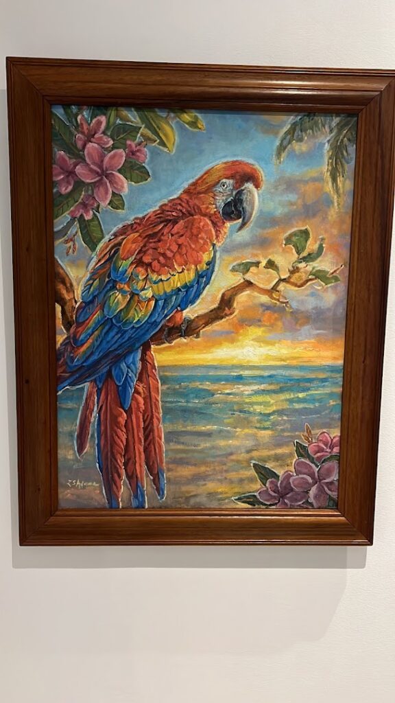 10 galeria pelicano 576x1024