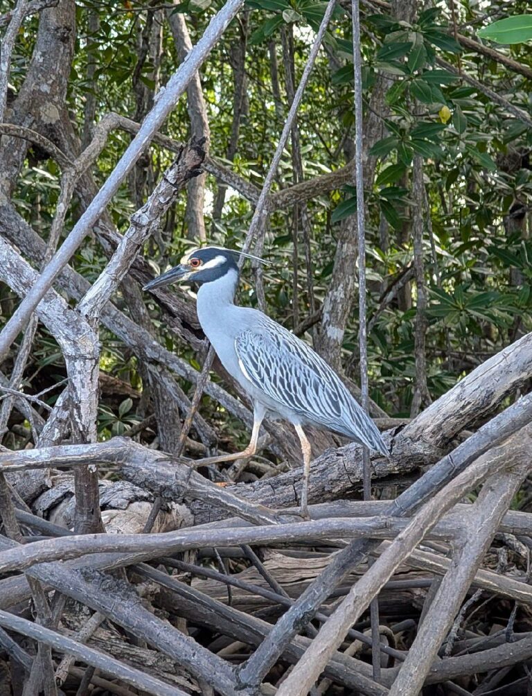 WhatsApp Image 2026 05 04 at 20.43.25 768x1004