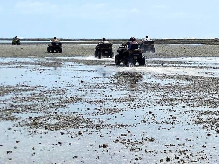 atv group riding tidal flats
