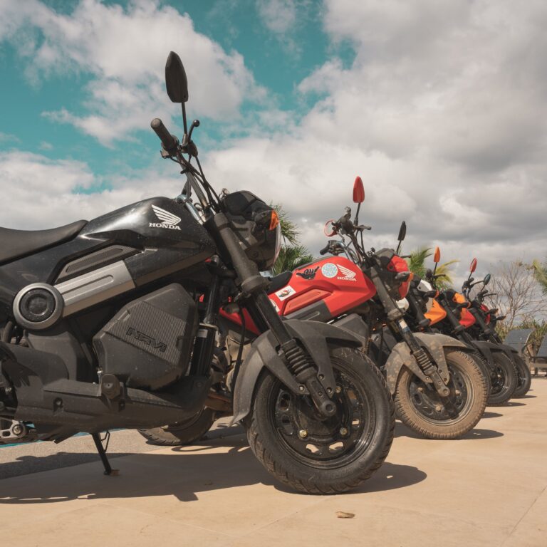 Bikes 1 768x768