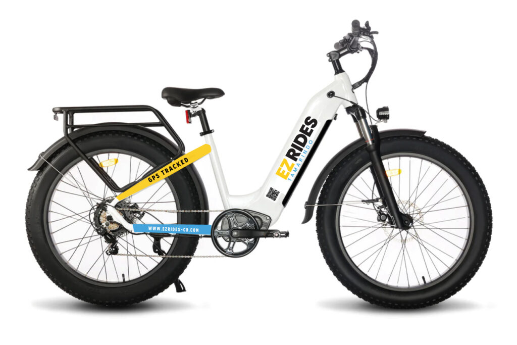 EBIKE FOR WEB SITE 1024x683