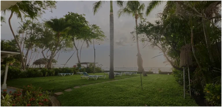 Frame 51 1 1 768x371
