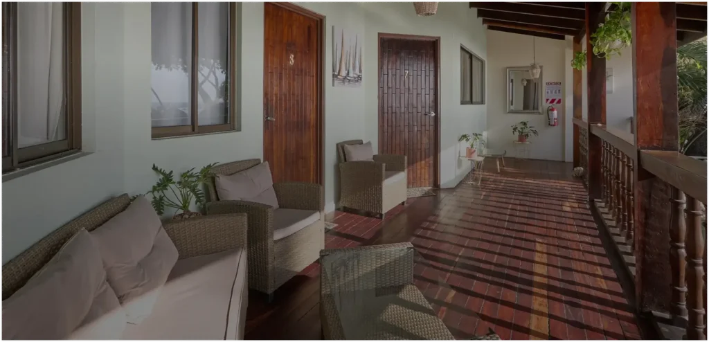 Frame 53 1 1024x494