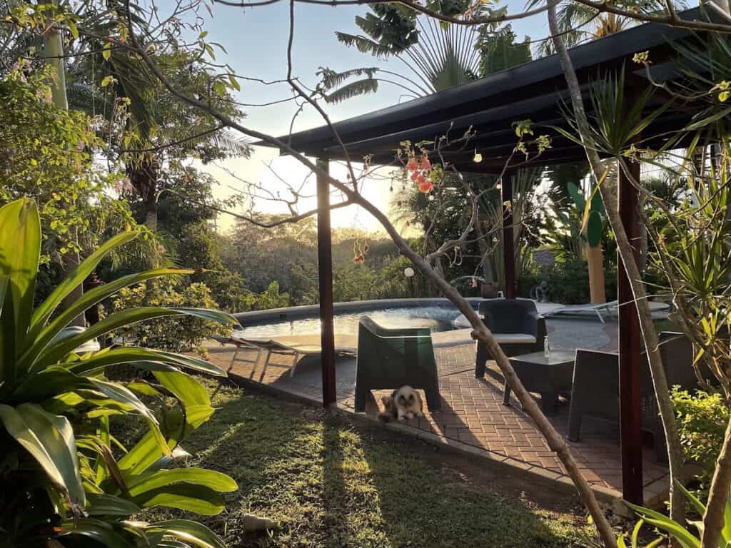 apartamentos las palmas en tamarindo 1 1 1024x768