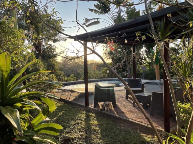 apartamentos las palmas en tamarindo 1 1 768x576