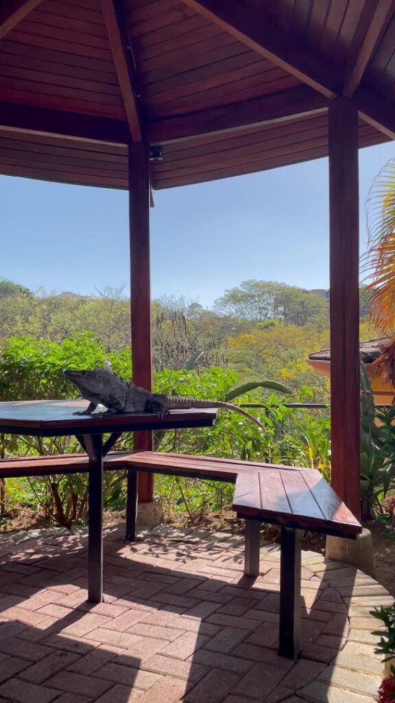 apartamentos las palmas en tamarindo 2 1 576x1024