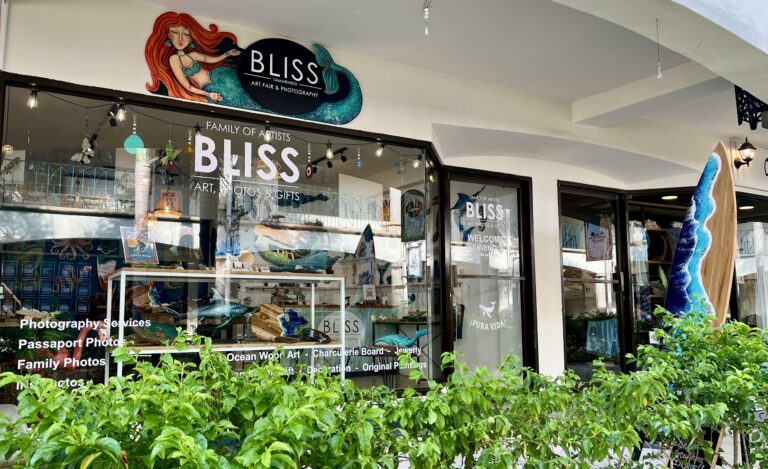 bliss family of artists 2 1 768x469