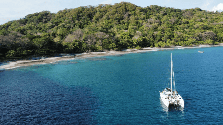 caballo del mar adventure charters 1 1 768x432