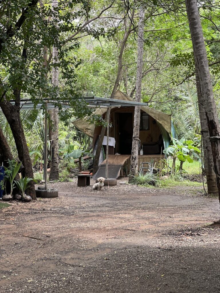 camping paradise point 2 1 768x1024