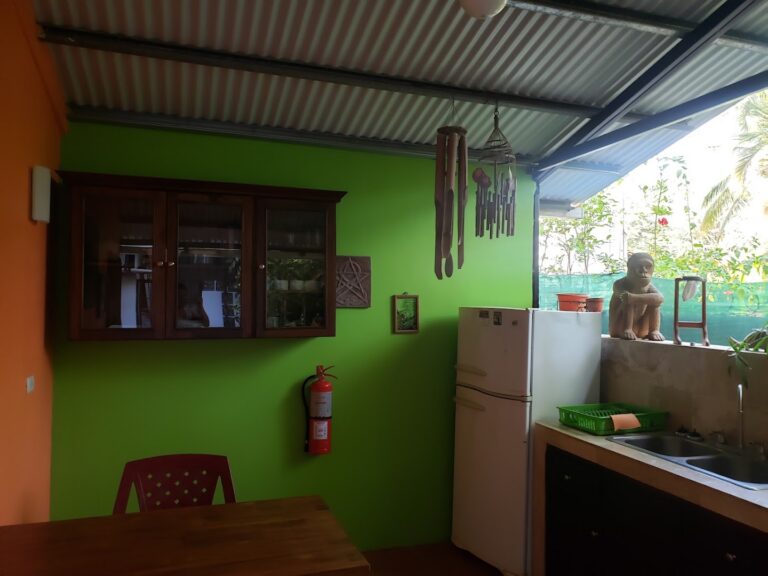 casa smilin dog 2 1 768x576