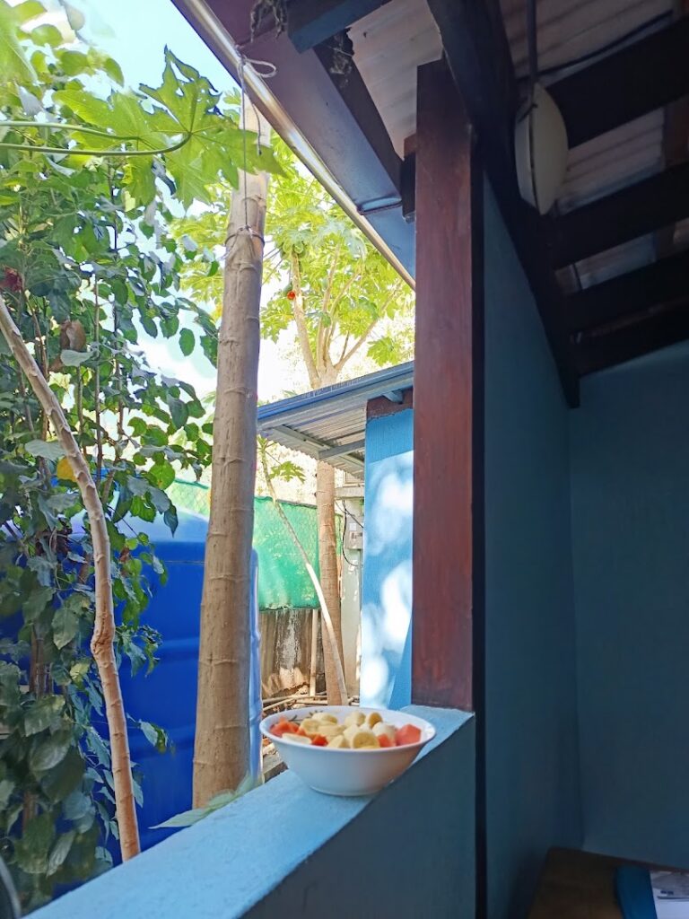 casa smilin dog 4 1 768x1024
