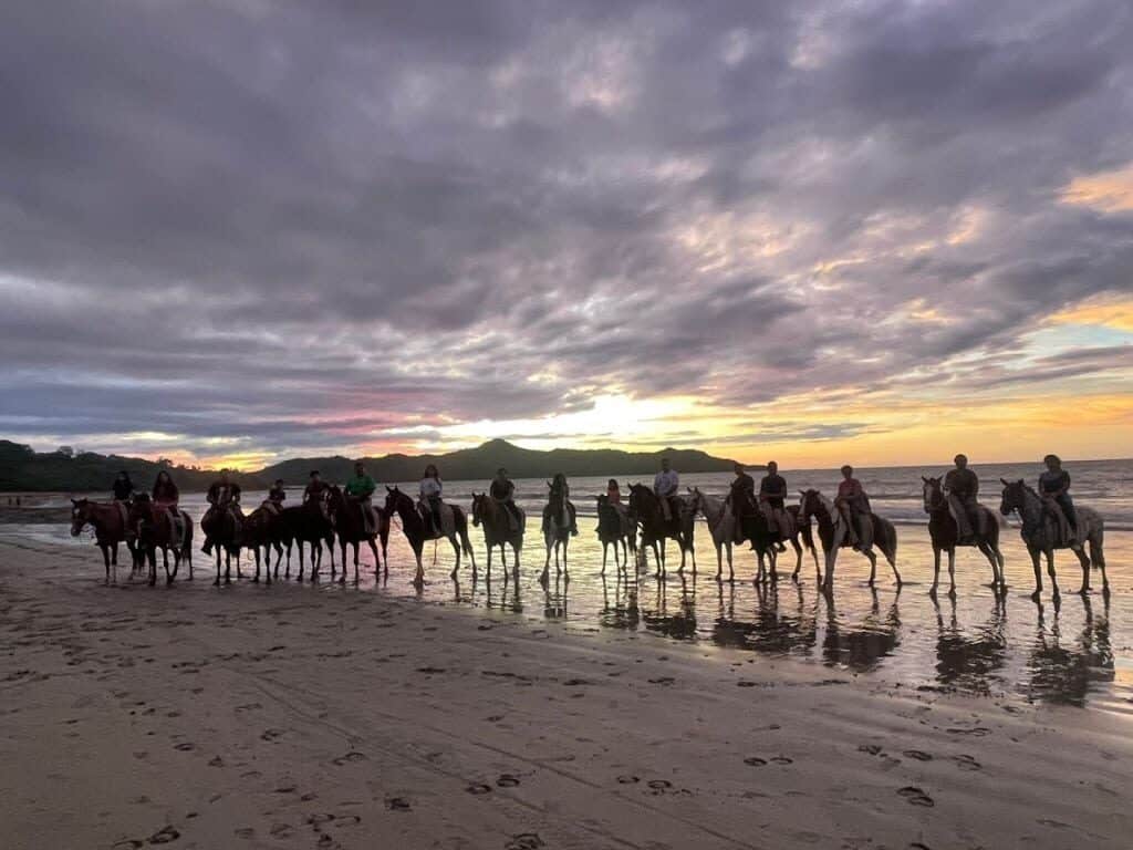 Costa Horses in Tamarindo, Costa Rica