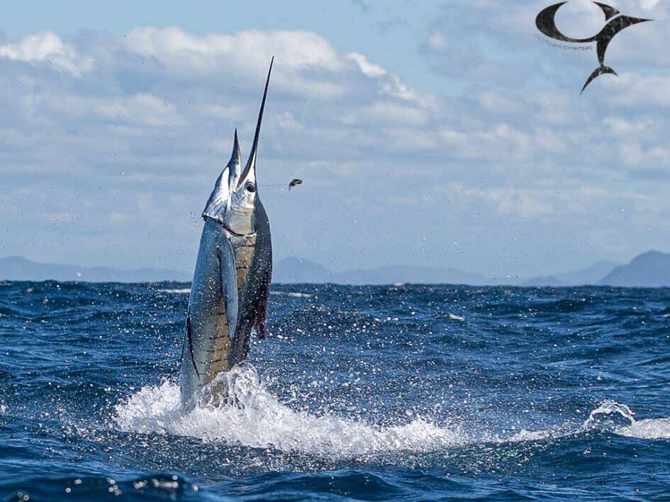 CR Fishing Charters in Tamarindo, Costa Rica