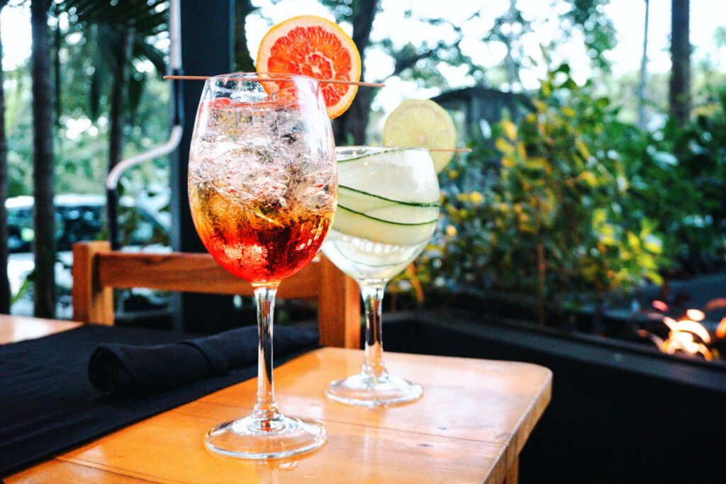 dragonfly bar grill cocktails with garden view 1 1024x683