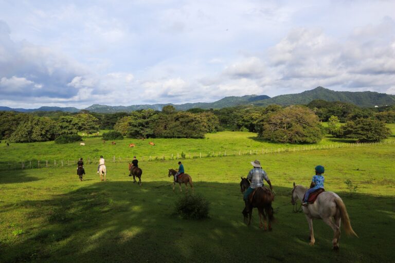 esencia costa rica real estate property management 5 1 768x512