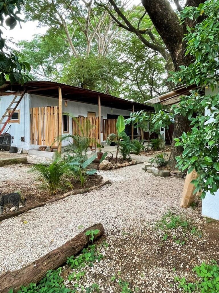 noni garden guest house 5 1 768x1024