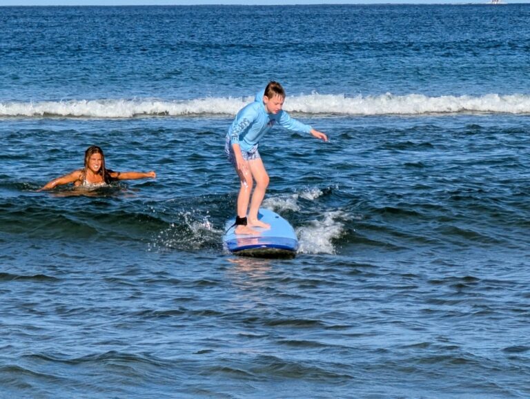 ollies surf shop multibrand 5 1 768x578
