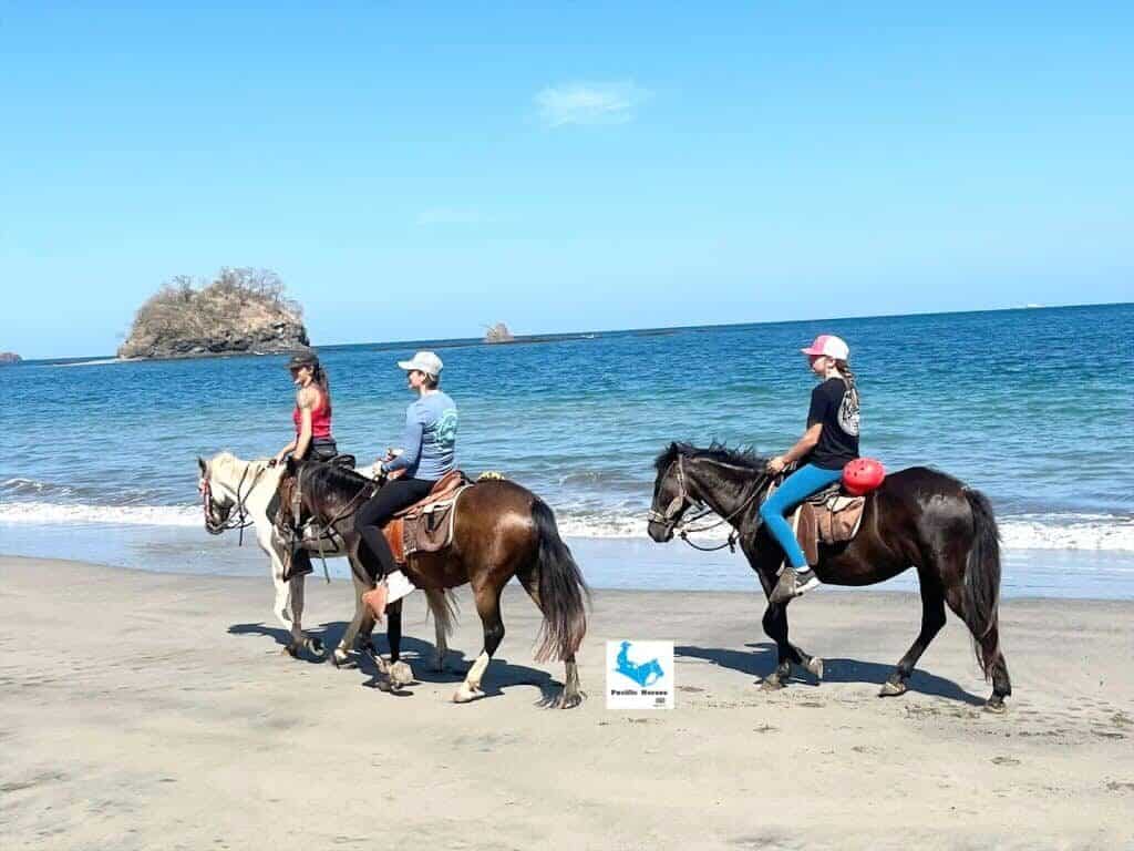 Pacific Horses in Tamarindo, Costa Rica