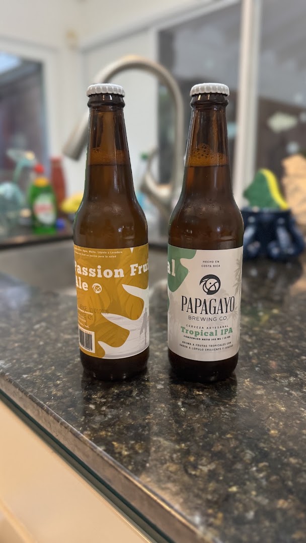 papagayo brewing 3 1