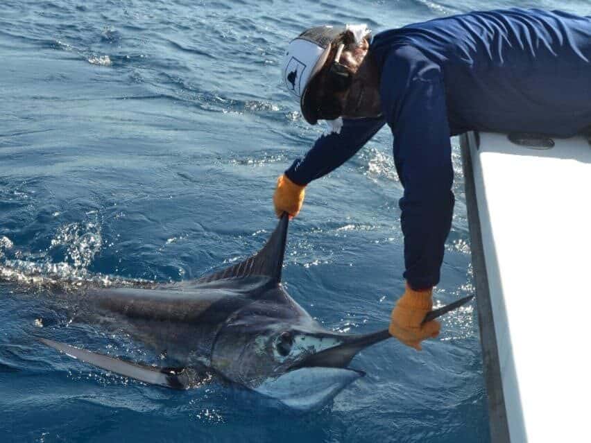 Rhino Charger Sport Fishing in Tamarindo, Costa Rica