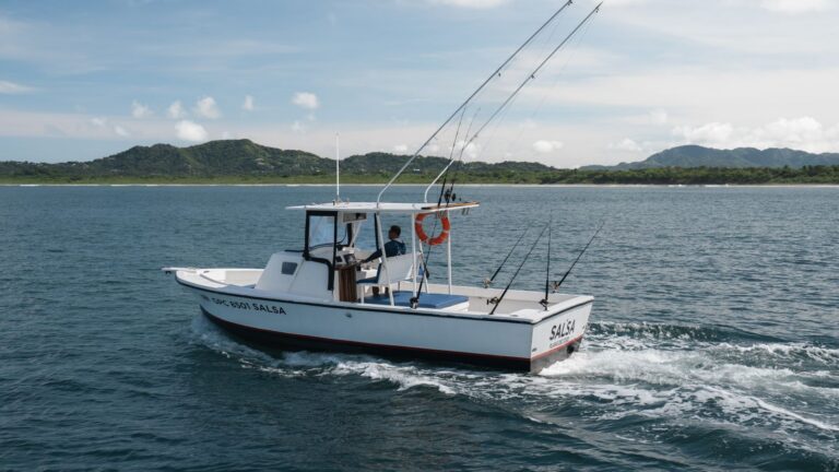 salsa side 768x432
