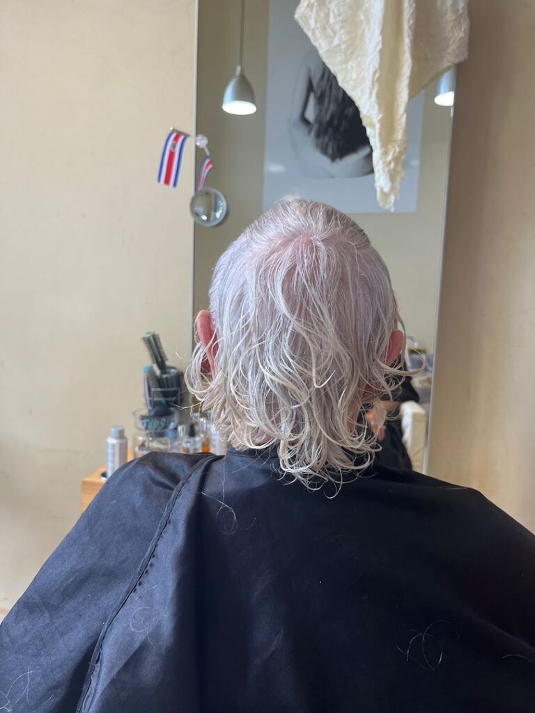 sirsas salon 4 1 768x1024