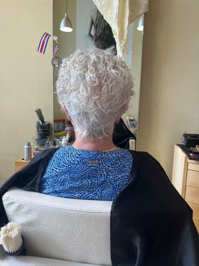 sirsas salon 5 1 768x1024