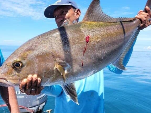 Sueño Azul Sportfishing and Tours in Tamarindo, Costa Rica