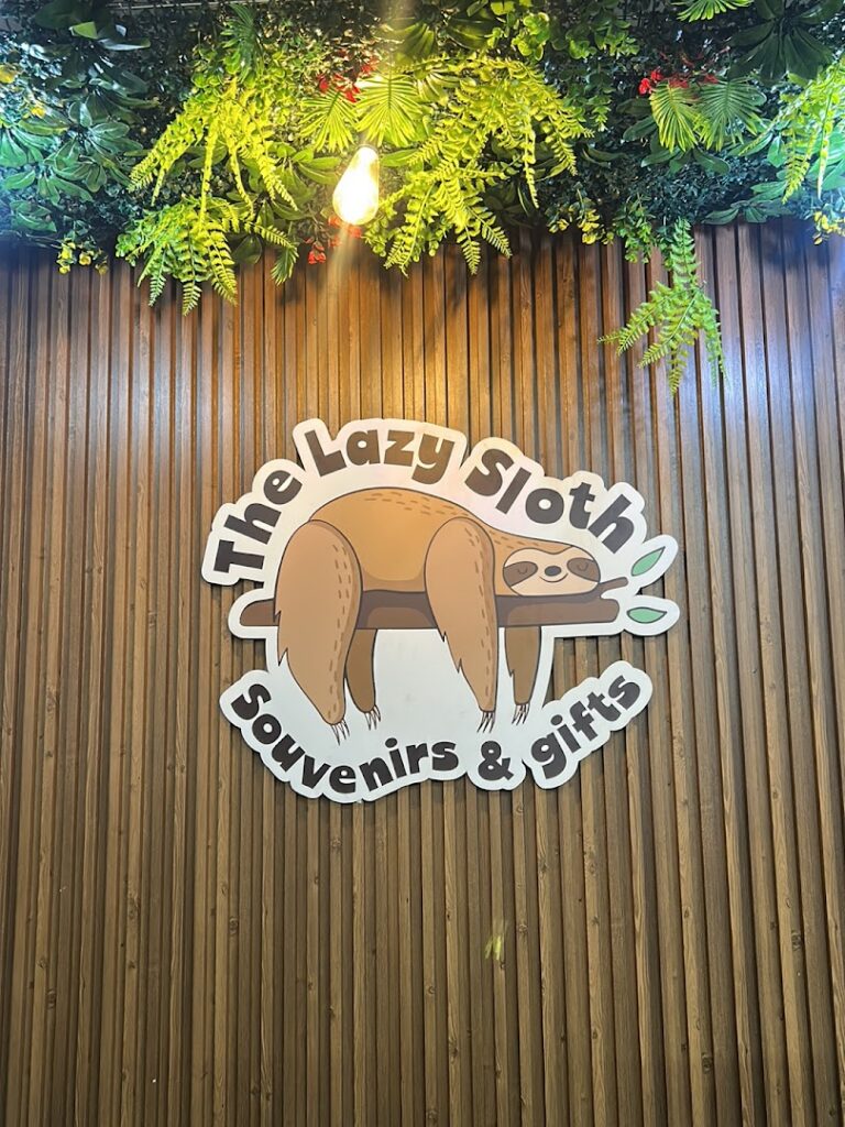 the lazy sloth souvenirs and gifts 5 1 768x1024